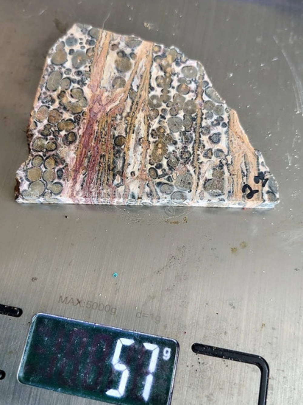 57-gram natural unpolished leopard skin jasper lapidary slab
